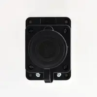 Розетка прямая Lezard с заглушкой 2Р+РЕ 1х16А 220-240V (каучук)