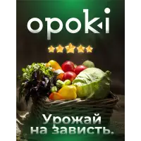 Колышки садовые композитные 10 мм х 2 м зеленые (10 шт)