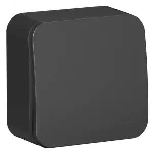 Выключатель одноклавишный ОП Blanca 10А IP20 (сх. 1) 250В с изолир. пластиной антрацит SE BLNVA101016