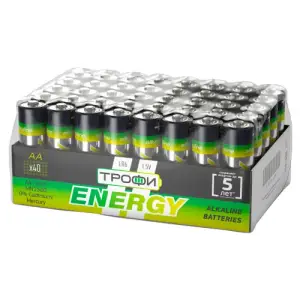 Элемент питания LR6(АА) алкалиновый (уп. спайка 40шт) ТРОФИ ENERGY/ECO