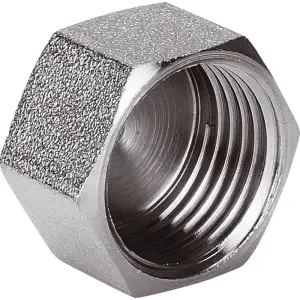 Заглушка 3/4\'\'F AQualink