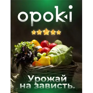 Колышки садовые композитные 10 мм х 1,2 м зеленые Opoki (10 шт)
